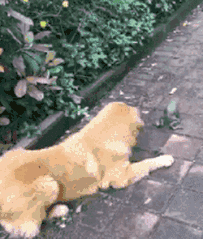 这些专业全部取消学位！新一轮自考改革开始了