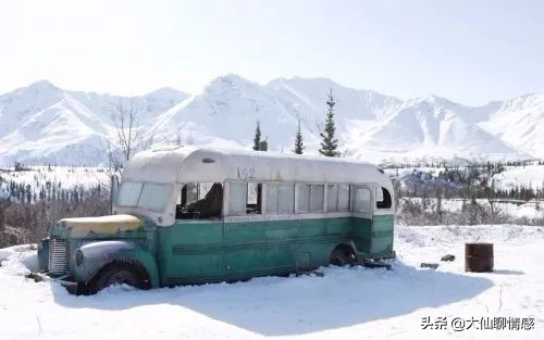 离奇失踪的22岁哈佛学生，死在了一辆废弃巴士里——《荒野求生》