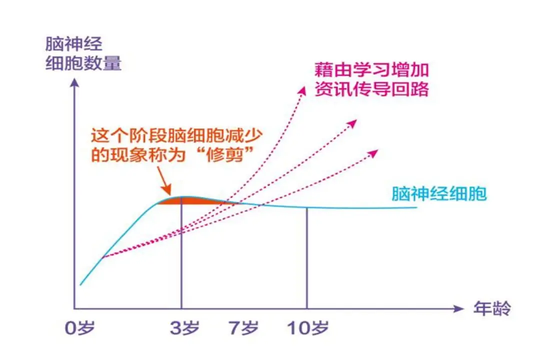 《健康儿童行动提升计划（2021—2025年）》印发，早教成为刚需