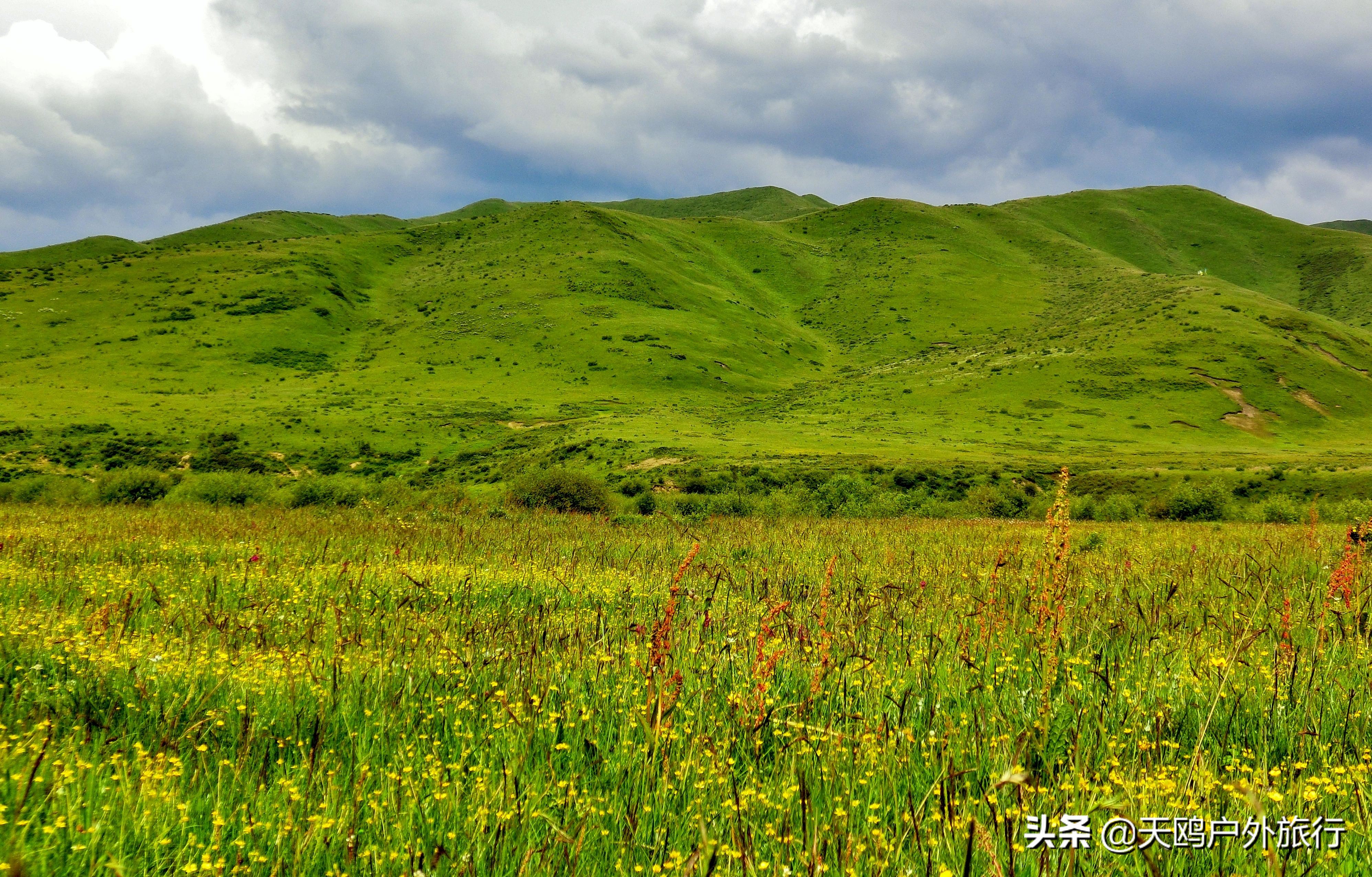 若爾蓋大草原還細分為熱爾壩大草原,松潘草原和紅原草原幾處,具體景點