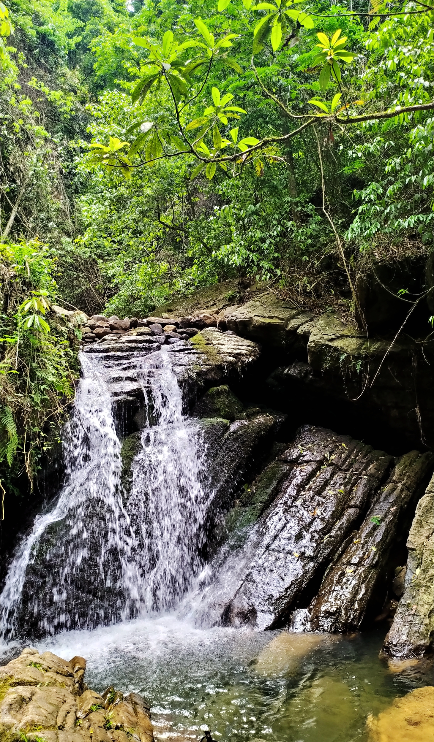 崇义阳明山是一个自驾游的好地方)