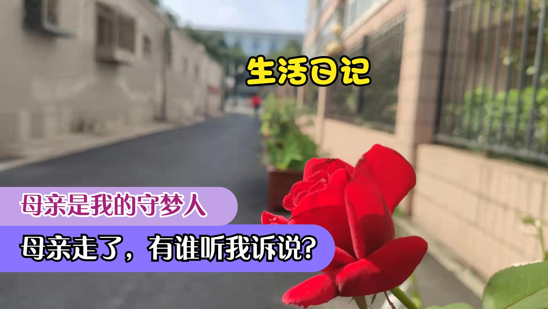 生活日记:母亲一直是我的守梦人,母亲走了,有谁听我述说?