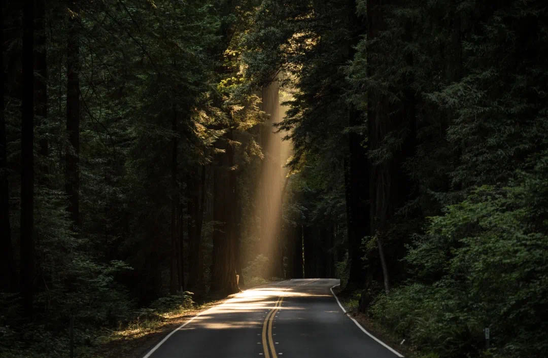 郑州民办高中大盘点