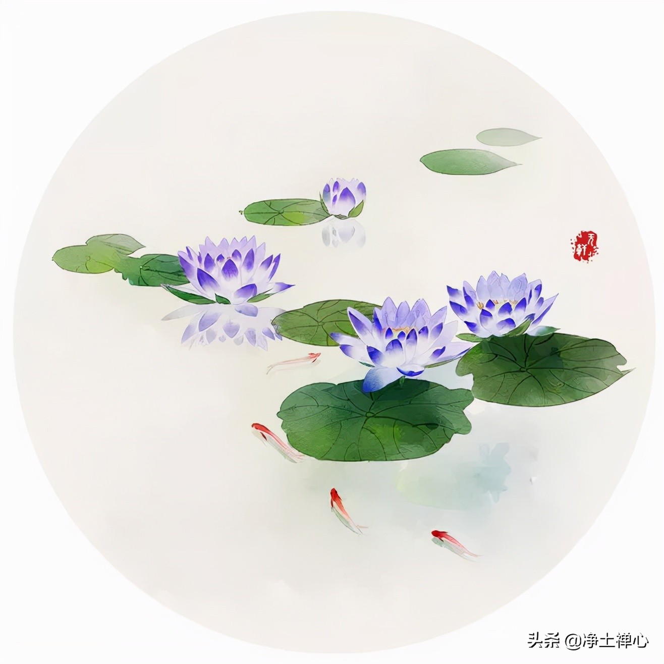 又是九月九，但愿人长久