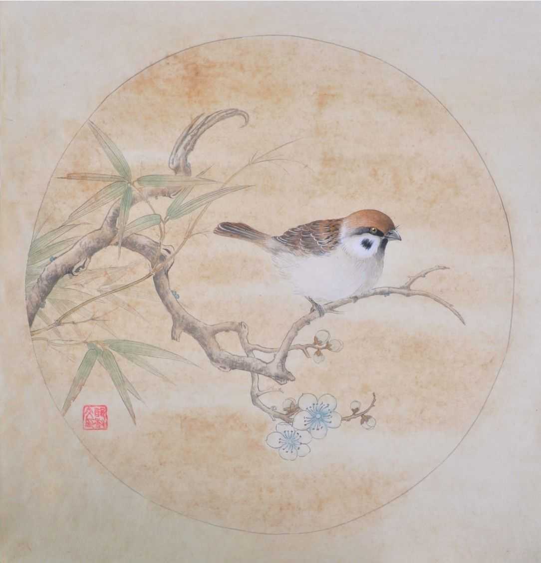 麻雀工笔画法:分步骤图解示范教你画麻雀,适合0基础临摹学习