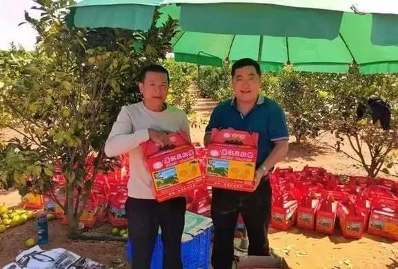 全红婵太有面！回广州市长亲自接见，两大因素或许会毁掉她的事业