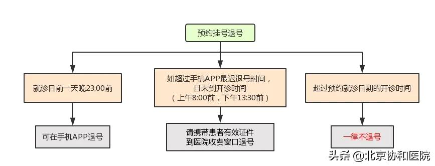 北京协和医院(东院)门诊就诊攻略