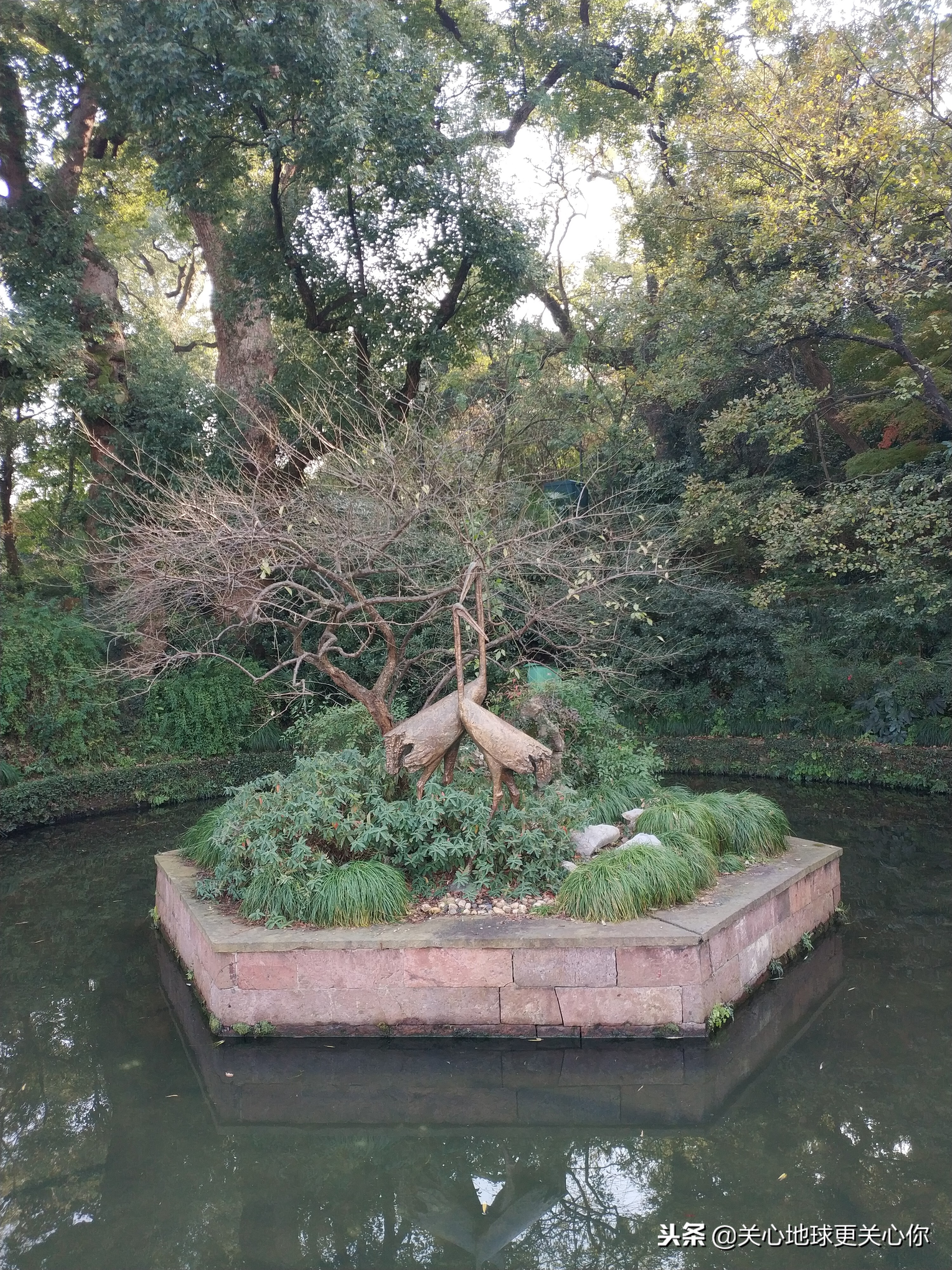 品笑傲江湖，访西湖孤山