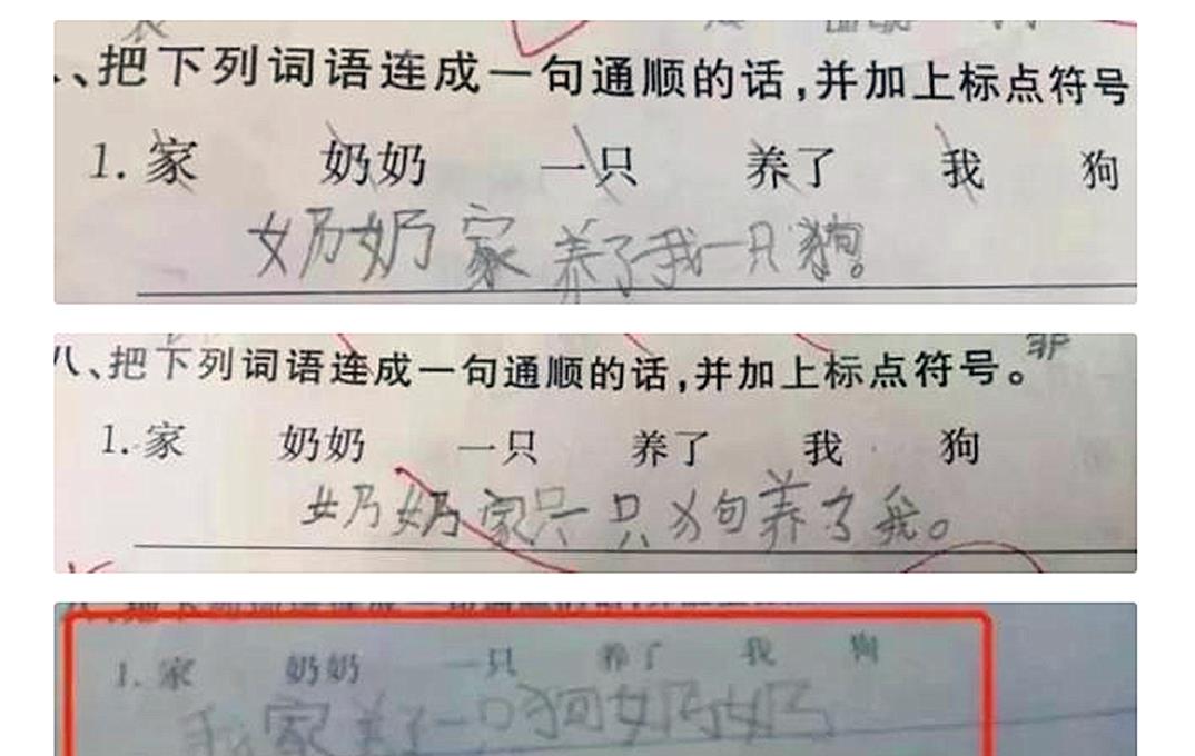 关于补作业的说说搞笑(晒娃写作业的搞笑说说) _晶羽文学网