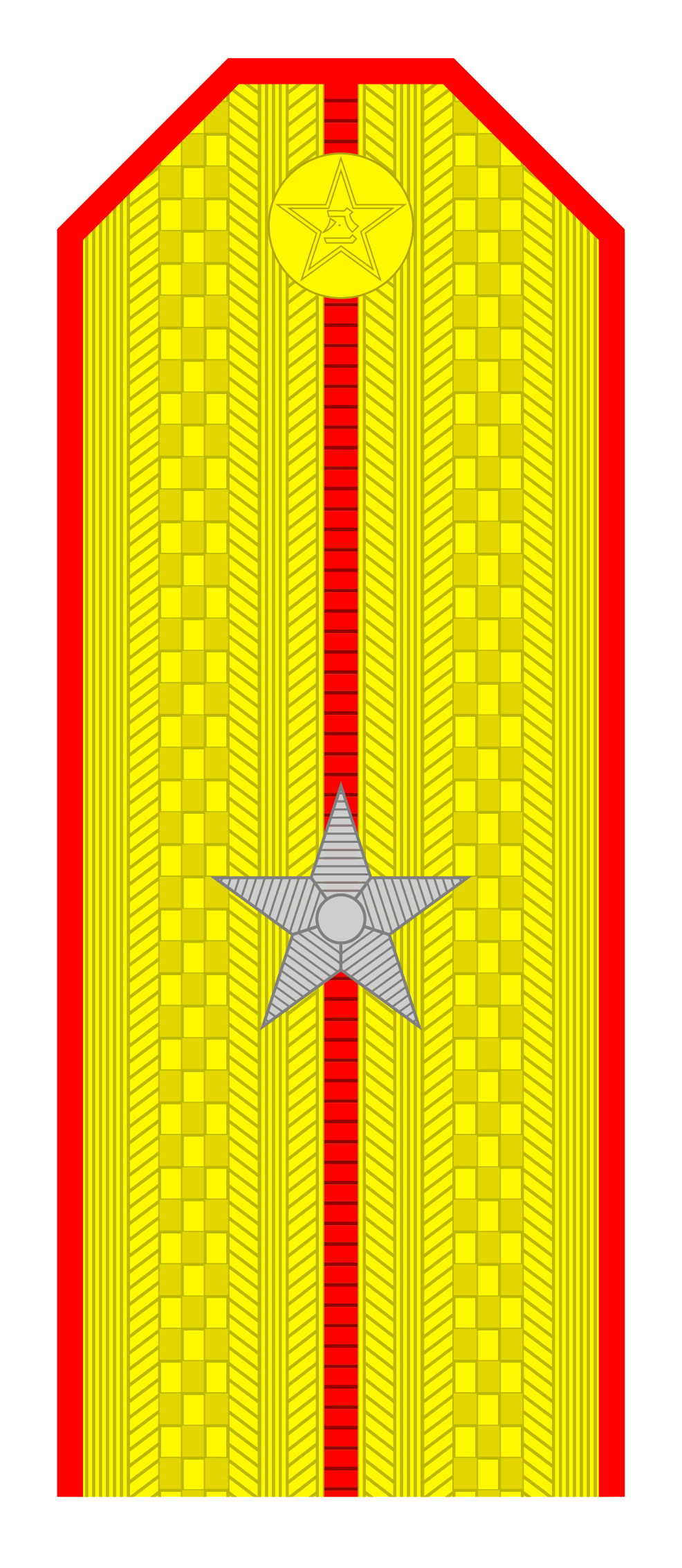 解放军肩章大小图片（解放军55式军衔军官常服肩章一览）