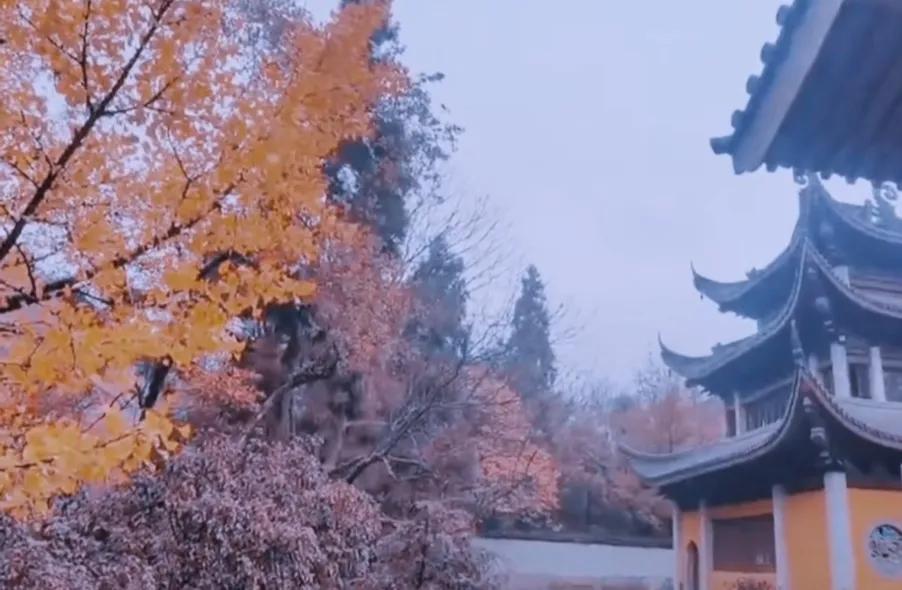 有节制的花钱，是一个人的顶级自律