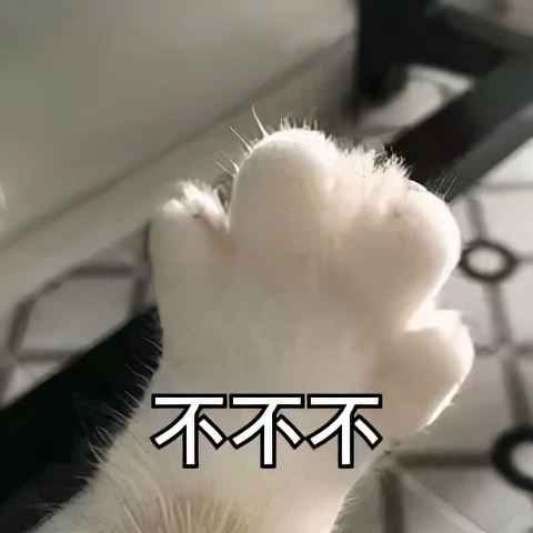 真样减肥运动最快(减肥比较快的运动)