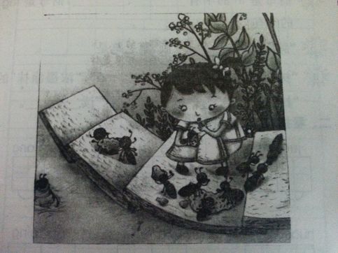 一年级看图写话常用词语、常用句式、练习！收藏