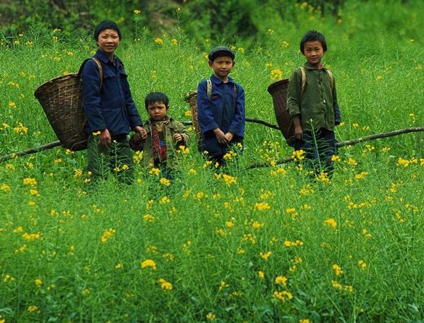 乡土散文:童年的风景