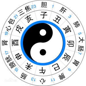 12地支(十二地支简述)