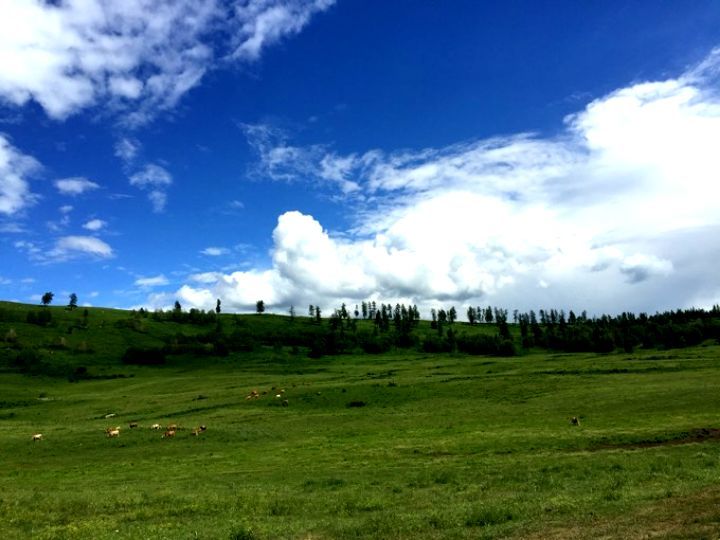 令人难以忘怀的梦幻禾木