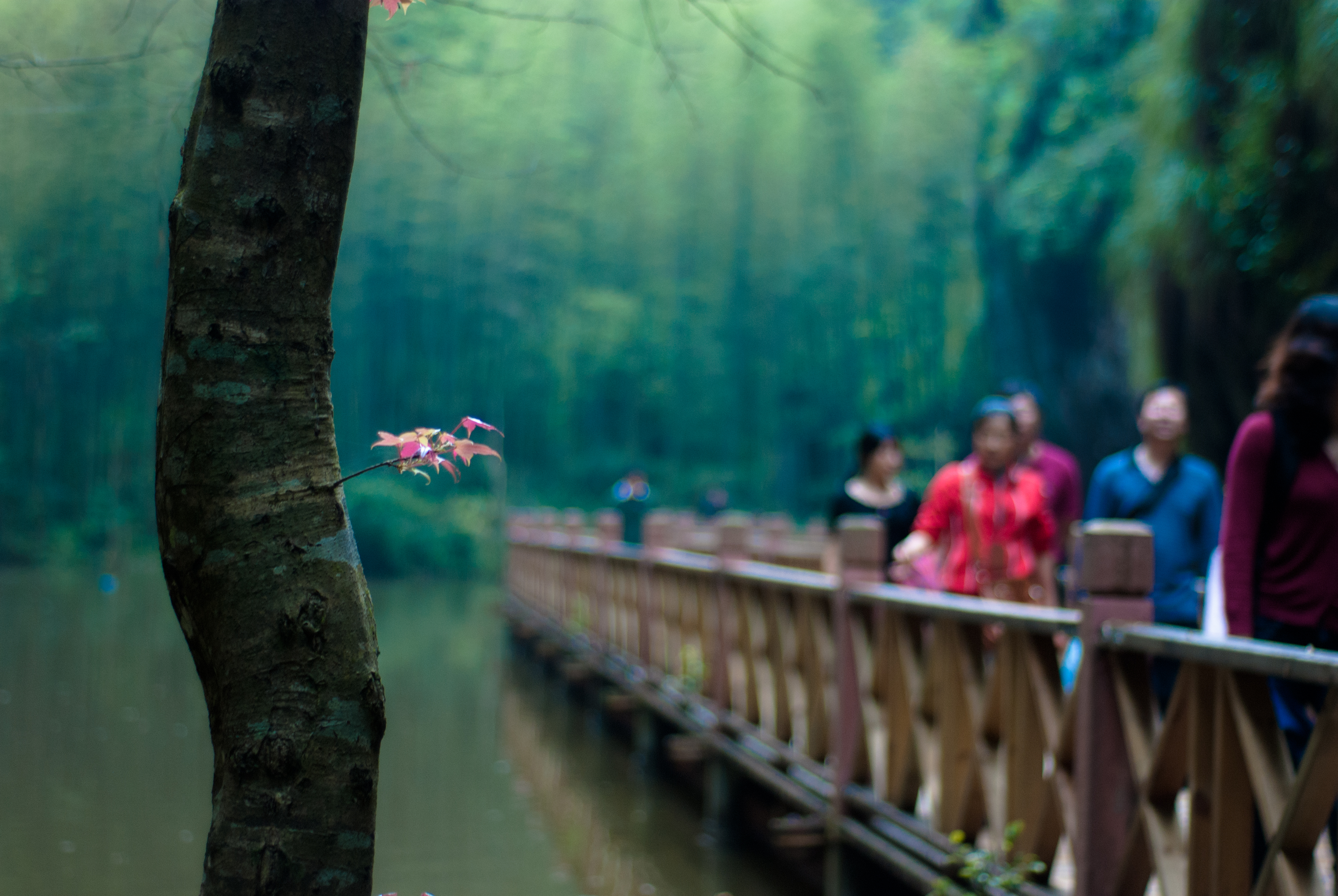 三明著名与非知名景点旅行攻略