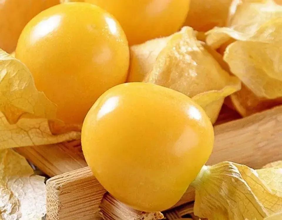 姑鸟功效与作用(姑鸟有什么作用)