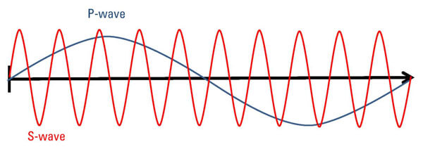 s波p波图片