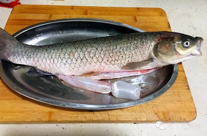 鯉魚刺多還是草魚刺多(要牢記3做1不放魚湯鮮香味濃)