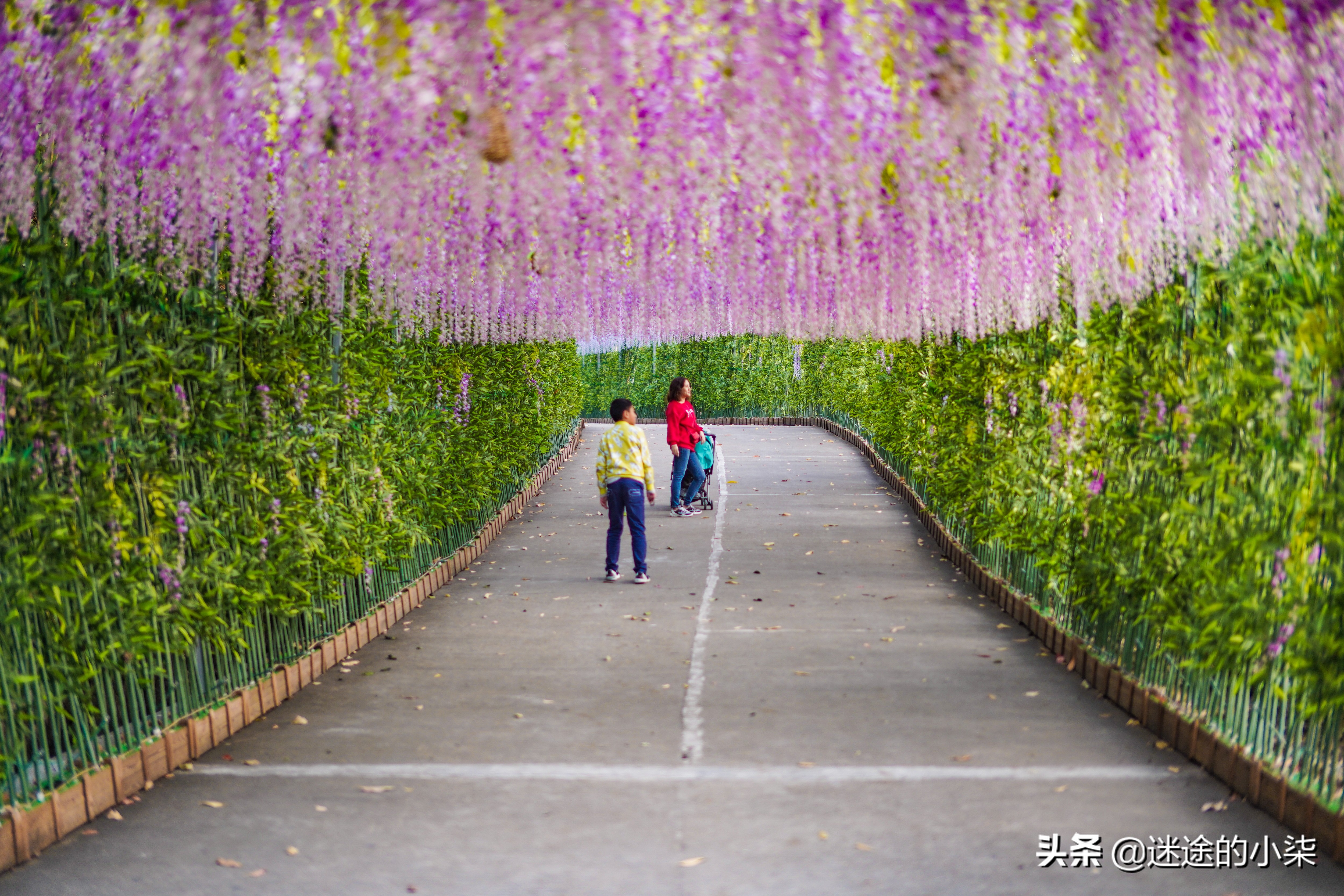 详细价格简直是豪无人性(东莞一景区，花70万征集对联，简直“豪无人性”)