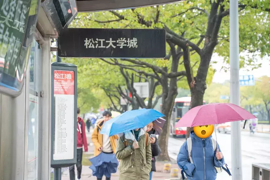 文汇路，松江大学城的美食聚集地！（下）