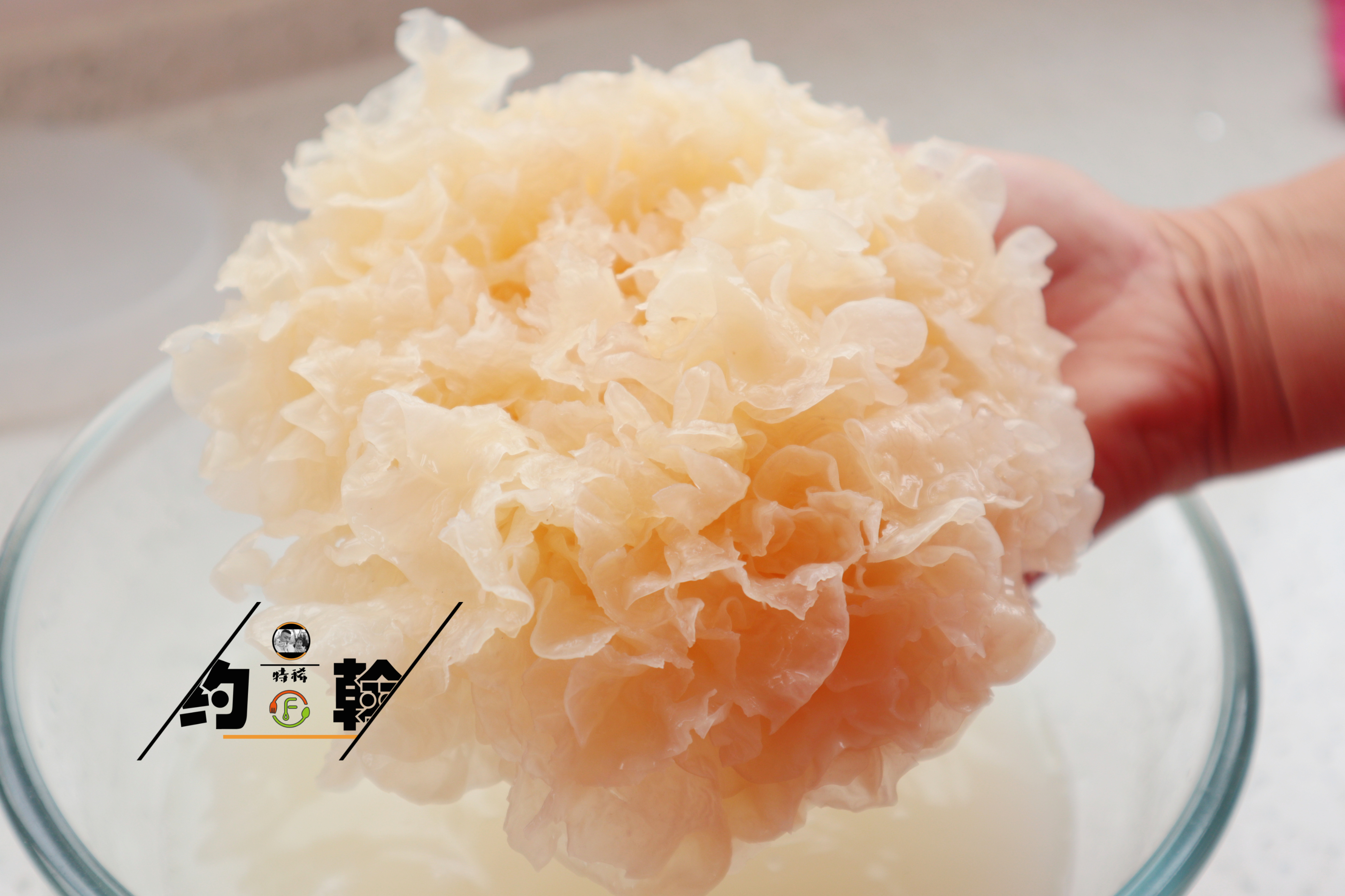 煮银耳，别乱加水，牢记“3忌5步骤”，20分钟出胶，黏稠好喝