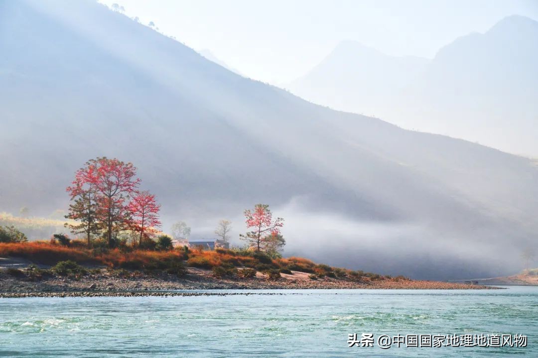 “人间秘境”，“神话之乡”，云南的“孔雀尾”开屏有多美？