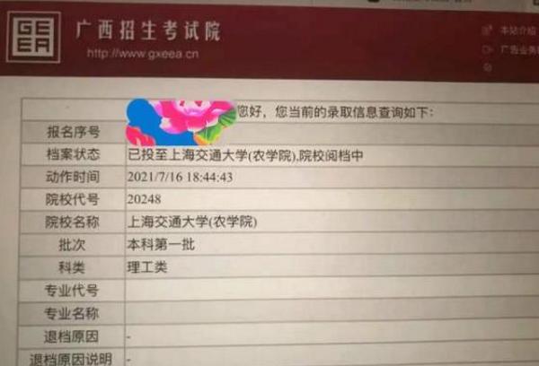 广西考生高考556分，原本想复读却意外捡漏上交大，真是