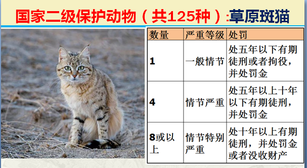 国家保护动物分几个等级（125类二级野生保护名录）