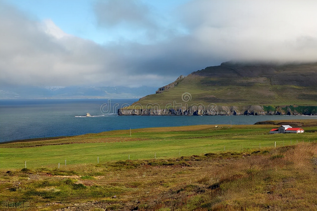 高中英语阅读策略的教学偏误与教学建议