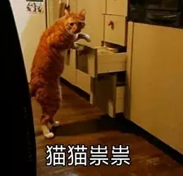 “Thecatdidit.”最好不要翻译成“是猫做的”！铲屎官要笑了