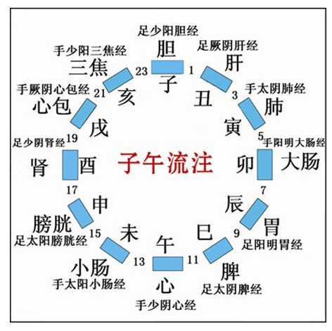 一文搞懂“天干地支”是如何配属脏腑经络的