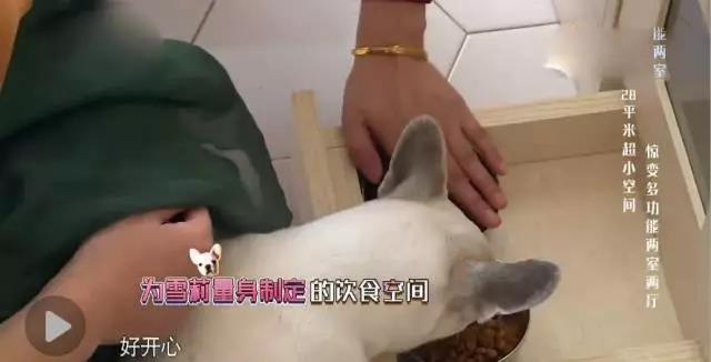 28㎡小窝进门就是卫生间，女儿睡厨房，如何拯救局促的三口之家？