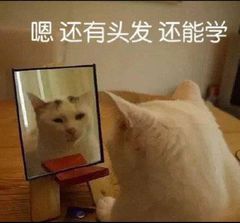 三步就能搞定超炫酷的PPT翻页技巧(Ppt如何翻页)