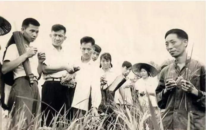 致敬“杂交水稻之父”袁隆平：除了珍惜粮食，我们还能做到这五点