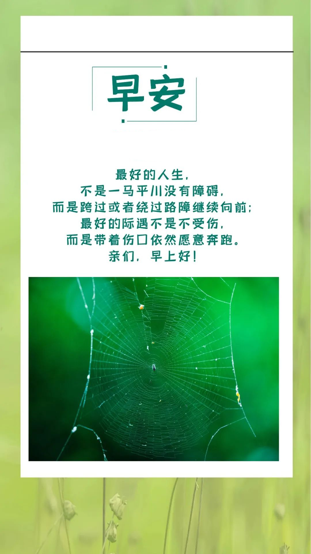 周末早晨好正能量问候语句说说：看清楚自己的心，找准属于自己的路