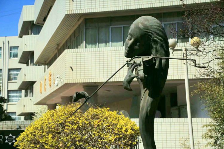 梦想花开，走进山东财经大学的春天！