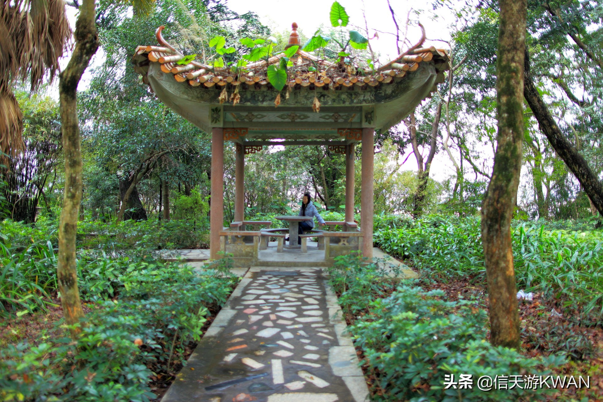 忆新兴六祖慧能国恩寺，祈福国泰民安，风调雨顺