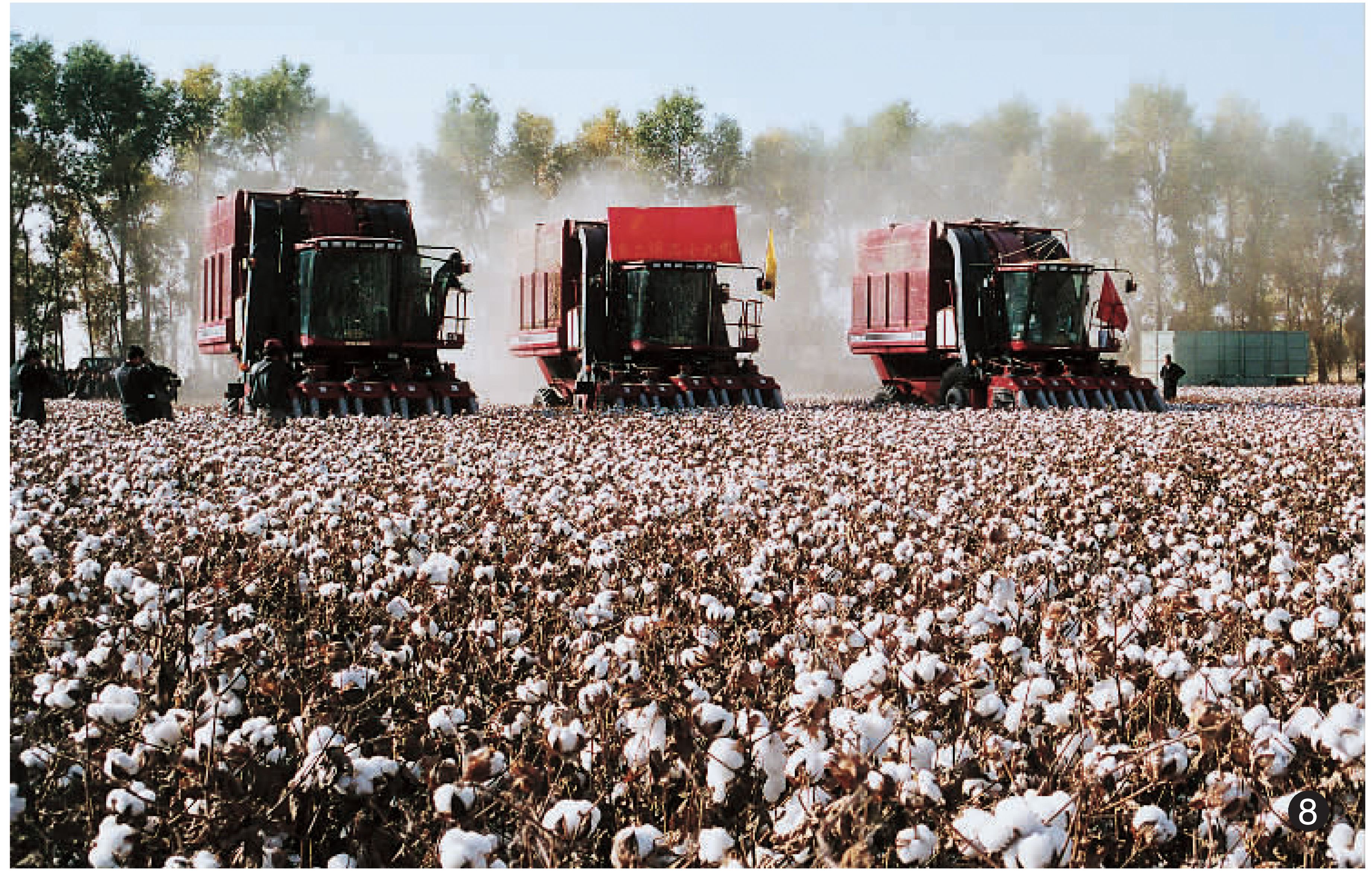 棉花对于水分的要求十分敏感,湿度大的地区棉花易遭受病虫害,而且在