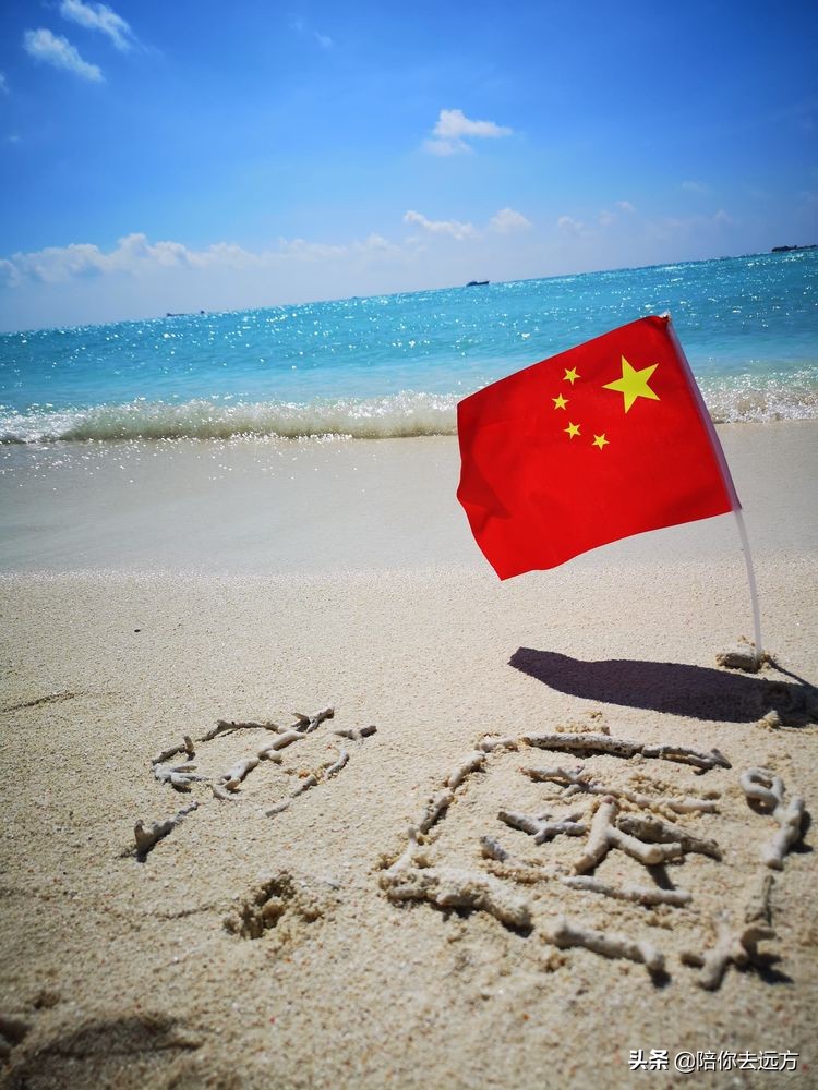 西沙~南海中的一片莲