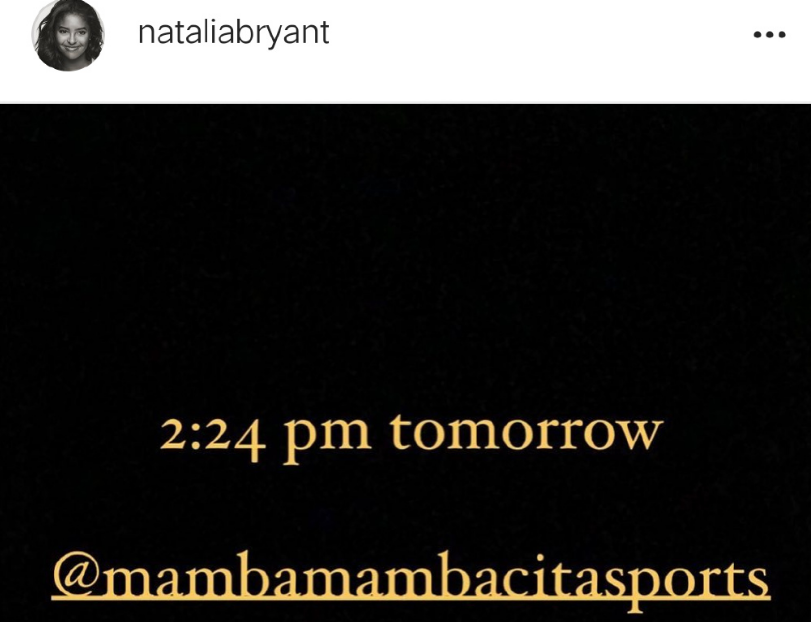 谁是马克加索尔的姐姐（粉红团队！加索尔晒“五朵金花”温馨合照，瓦嫂娜娜表白科比兄弟）