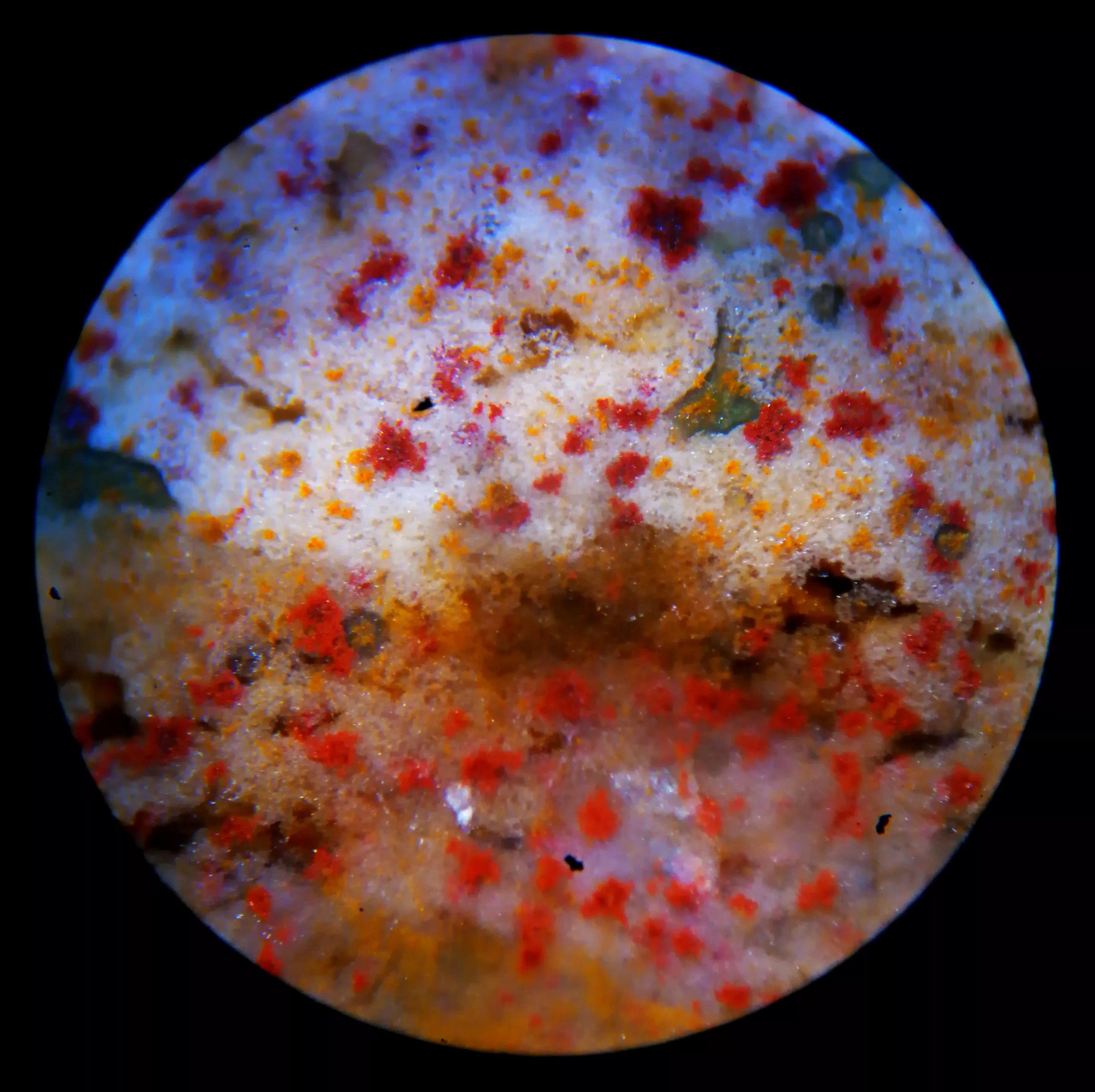 一颗虎皮纹色的十二眼象雄天降石古天珠.