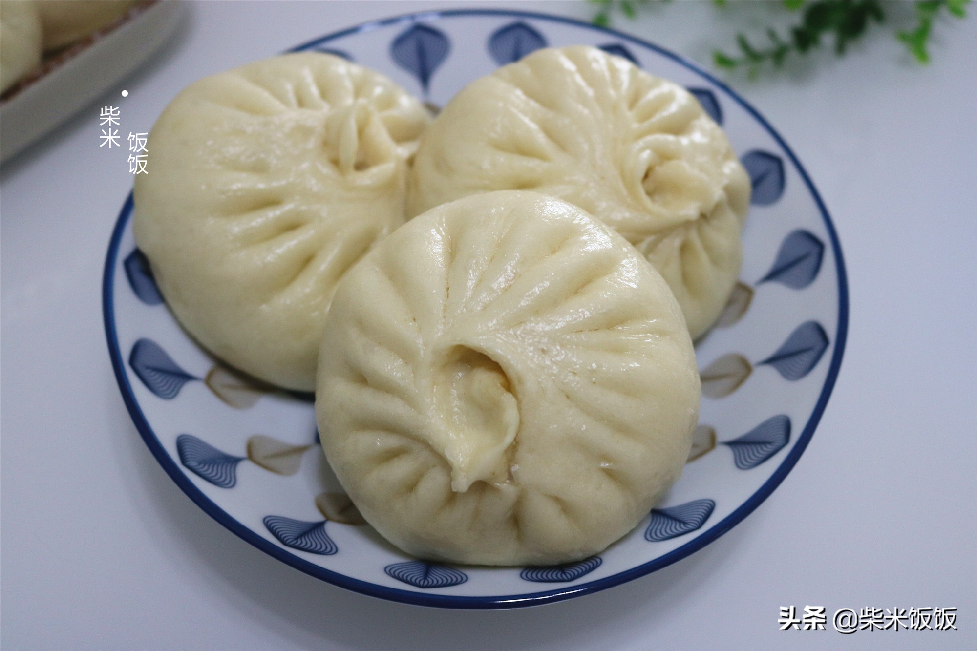 这包子太香了(香香的包子)