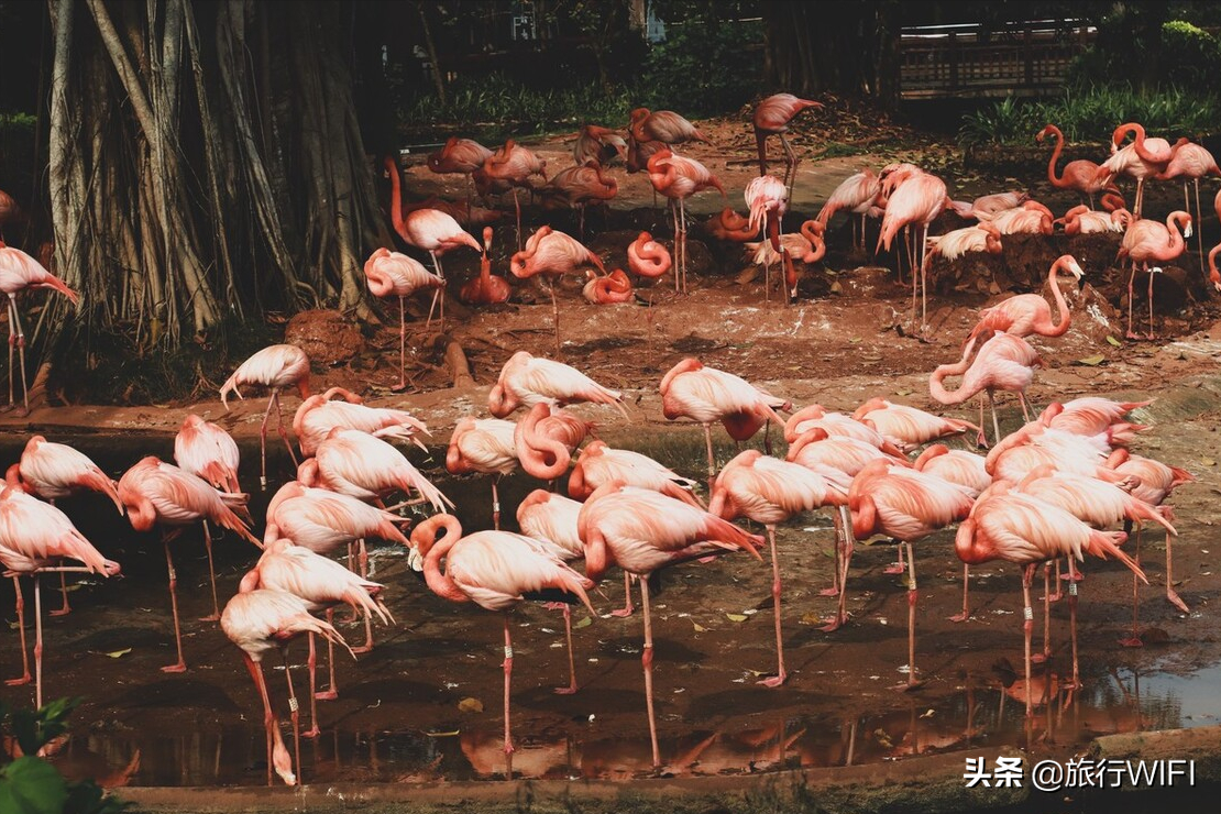 海南环岛自驾游攻略，这些地方居然比去三亚更值得