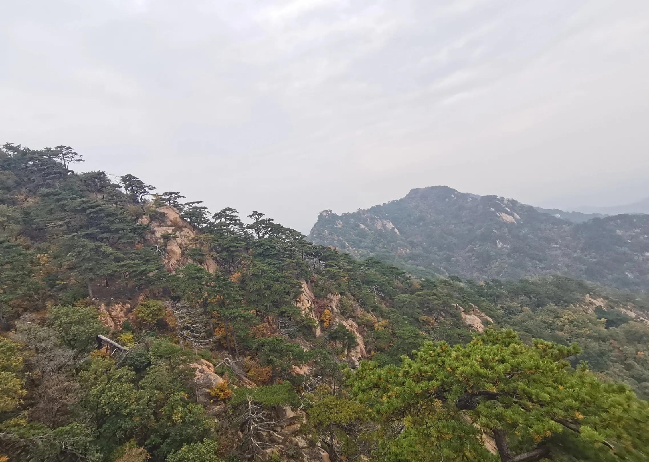 重阳登高有感