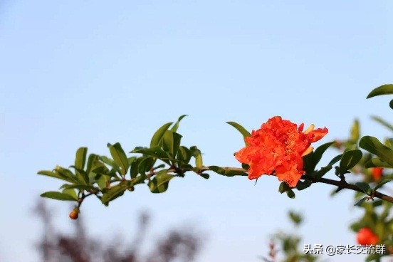 江南大学----一所可能“不适宜”学习的高校