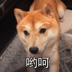 【搞笑段子】晚上逛超市结账时发现没带钱，打电话要老公送钱来