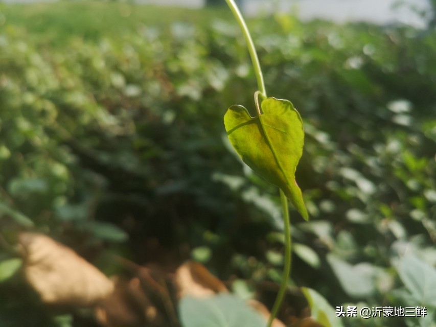 不懂机器，胡乱轴螺丝