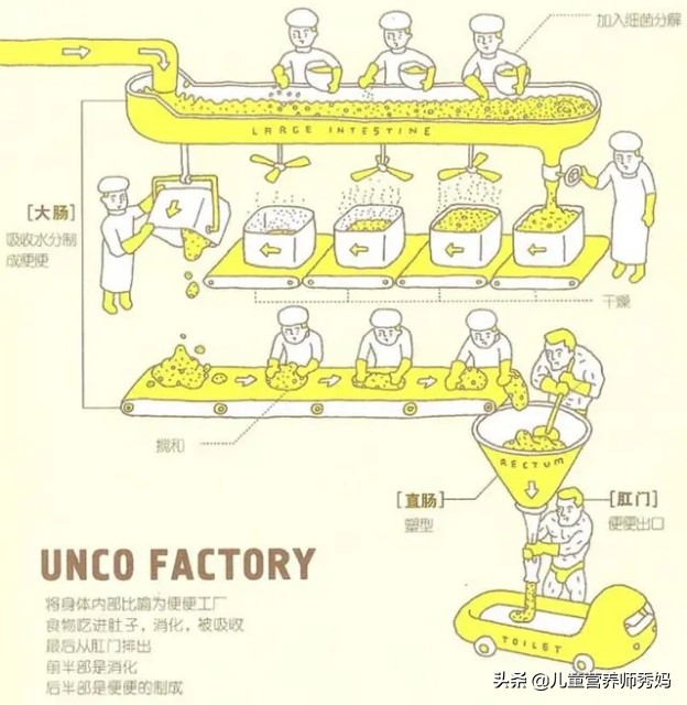 宝宝的大便为什么这么臭？看完你就明白